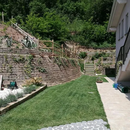 Mimosa Soiano Del Lago
