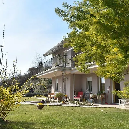 Mimosa Soiano Del Lago