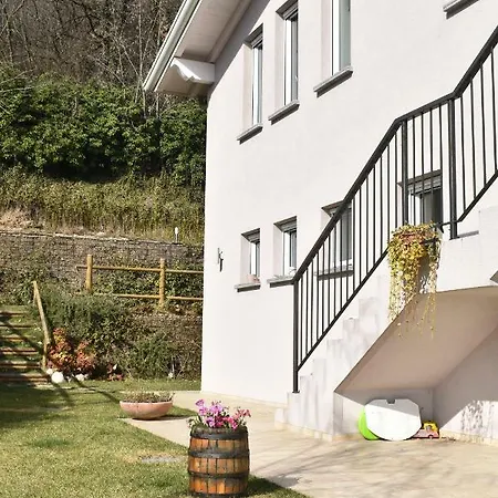 Mimosa Aparthotel