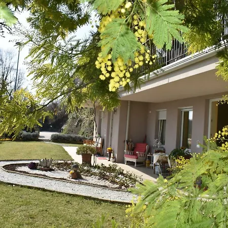 Aparthotel Mimosa
