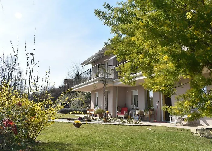 Mimosa Soiano Del Lago