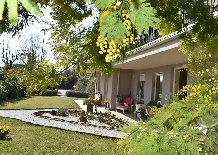 Aparthotel Mimosa